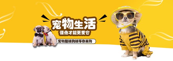 2025年天天彩资料大全最新版
